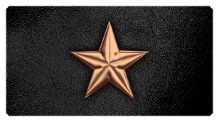 DSC700 430 BZ BK Star Bronze Black